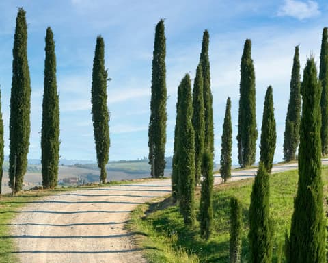 Toscana: encanto italiano