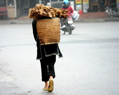 Private short trip "Sapa individual"