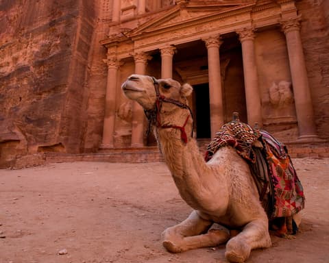 Kurztour "Tote Meer und Petra erleben"