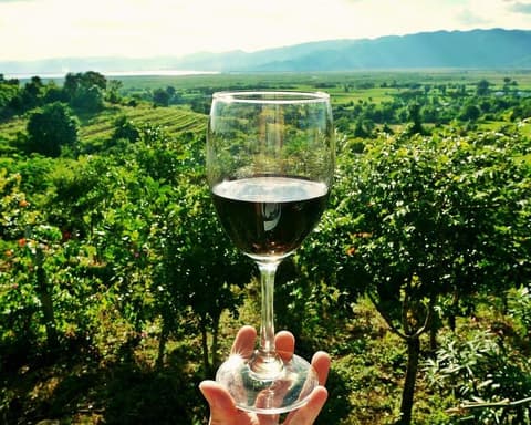 #PUEBLOSMÁGICOSNAVIDEÑOS ESCAPADA NAVIDEÑA GOURMET EN ZARAGOZA: SABOR, BIENESTAR Y MAGIA 