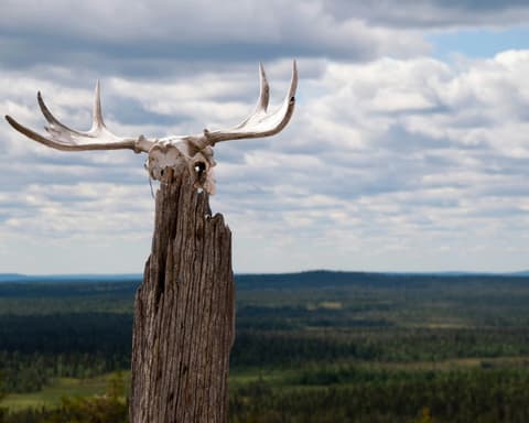 Terre Lapponi, Capo Nord e isole Lofoten