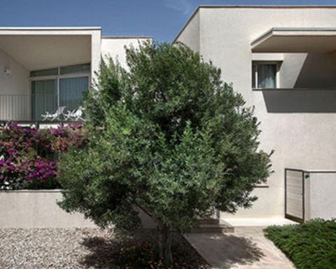 Residence Cala Palme, 