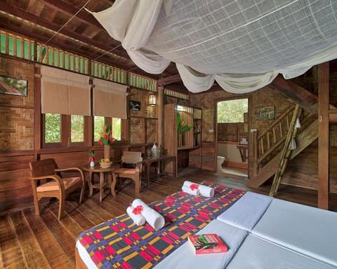 Our Jungle House Lost Horizons, 