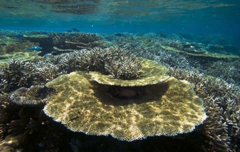 Hurawalhi Island Resort, Sports facility