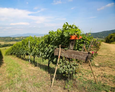 Montebelli Agriturismo & Country Hotel, 