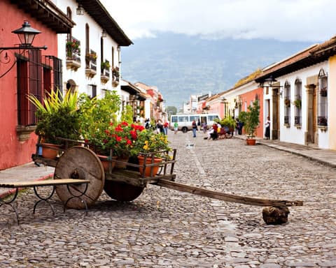 Raíces Vivas: Encuentro Cultural en el Corazón de Guatemala