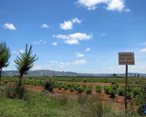 Circuit Madagascar "Merveilles Malgaches"