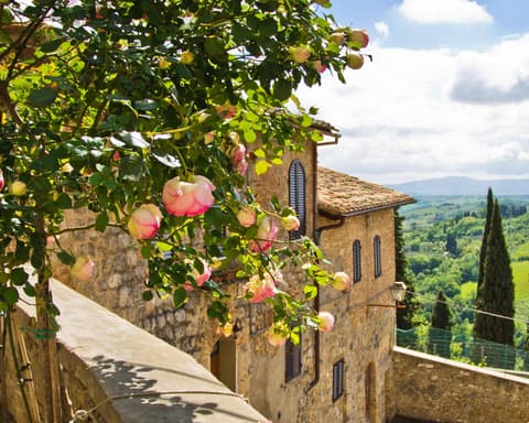 Vacation in Sicily: Seaside Serenity & Sicilian Charm
