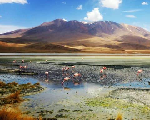 SALAR RELAMPAGO / SALAR – LAGUNAS DE COLORES - UYUNI - 02 DÍAS 01 NOCHE - Hospedaje Hotel Flamenco