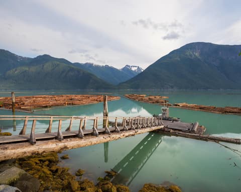 OSOS BELLA COOLA Y EL OSO GRIZZLY 4 DIAS 