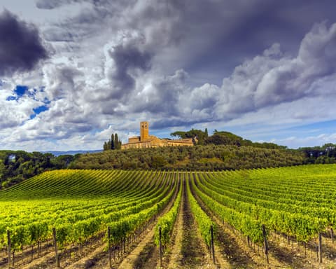 Italia de la Toscana a Cinque Terre: vinos, pueblos y paseos inolvidables. (Tours en Ingles)