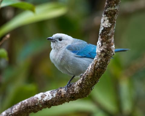 CIRCUITO PLAYA & NATURALEZA LUXURY 2026