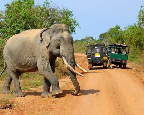 Maravillas de Sri Lanka
