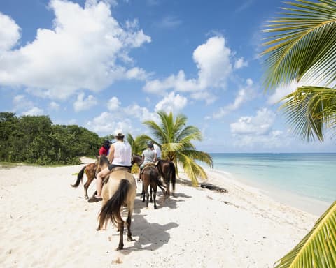 CARIBE - STAR OF THE SEAS