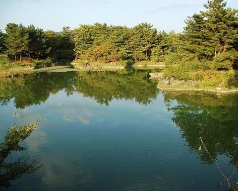 Tour della Corea del sud