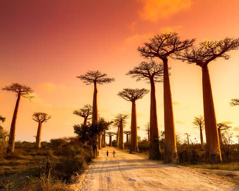 Escapada a Madagascar