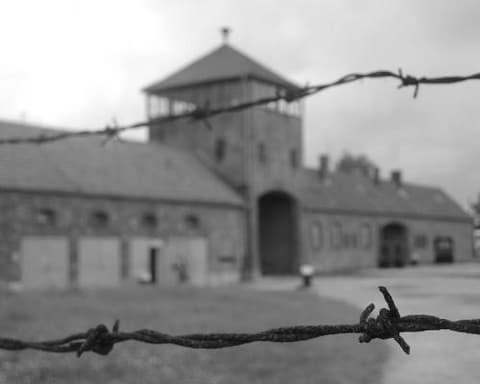 Minitour Cracovia, Wielczka ed aAuschwitz