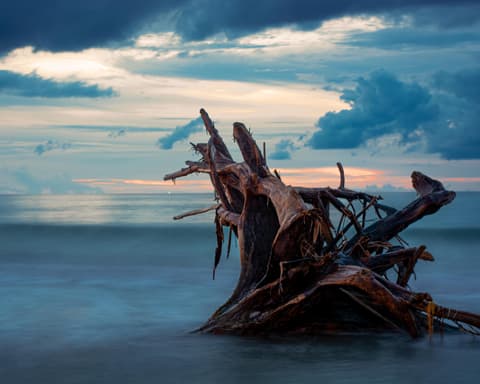 Tolú y Coveñas Sensacional