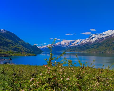 Armonía Escandinava con Helsinki