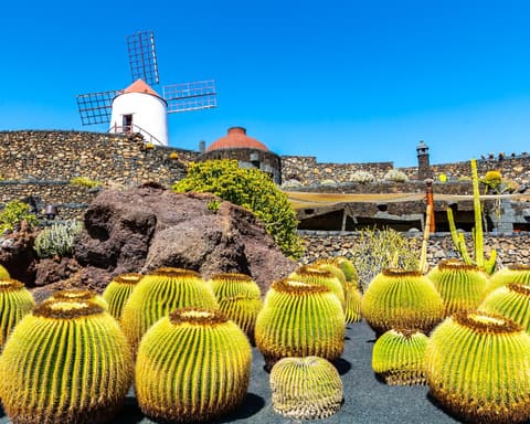 250298 - Lanzarote | Especial Lua de Mel