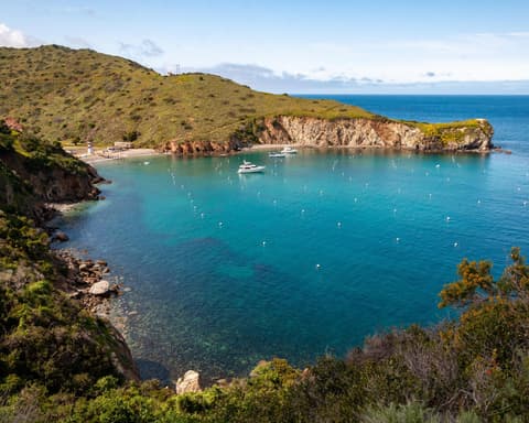 NORTEAMERICA - BRILLIANT LADY