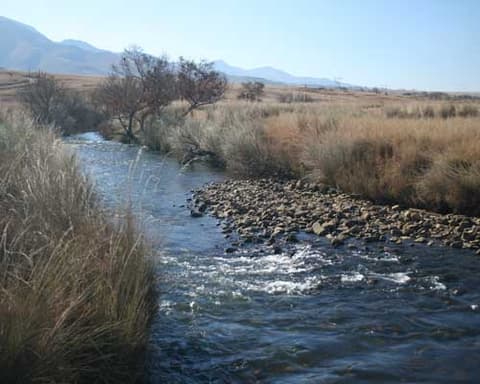 Sudafrica Fly & drive