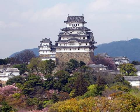 South Japan Express (2026)