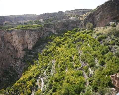 Fresh Mountain Escape