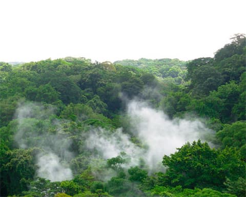 Pura Adrenalina 8 Días/7 Noches Clase Turista