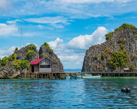 Dive Into Raja Ampat