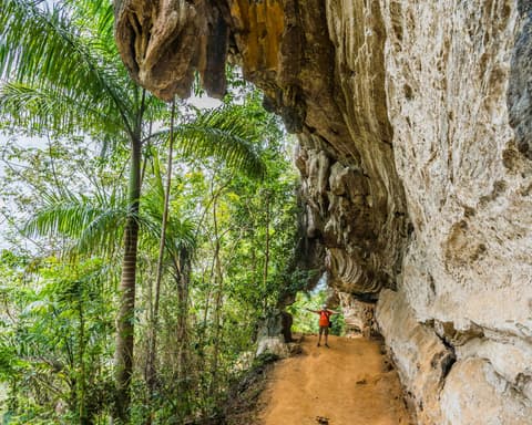 CUBA, SEA, NATURE AND HISTORY