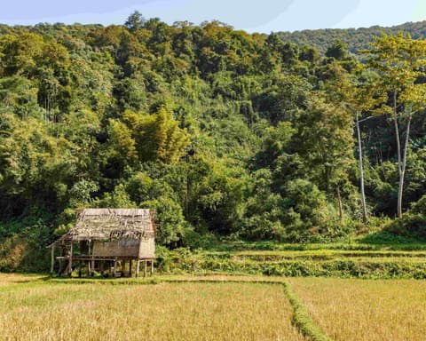 JET TOURS - Laos Hors du sentiers battus - Du Triangle d'Or aux 4000 Îles 14 jours