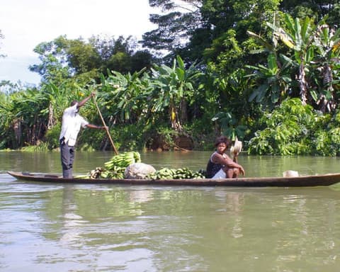 Ballenas a la vista - Bahía Solano