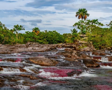 Caño Cristales , el Rio más lindo del Mundo