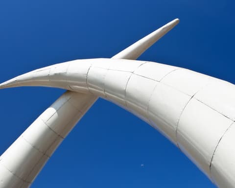 3 Tage Safari von Mombasa und Diani Beach