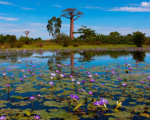 Circuit Madagascar "Merveilles Malgaches"