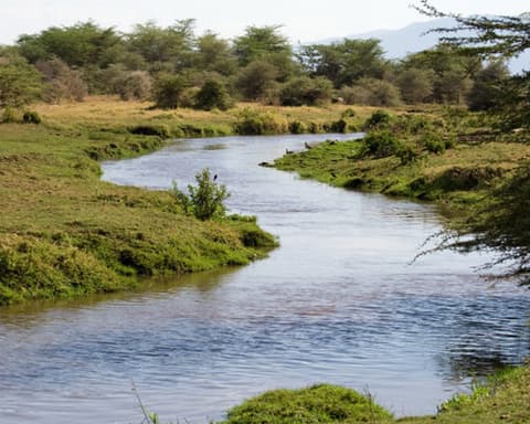 6-Day Tanzania Safari: Arusha | Lake Manyara | Serengeti | Ngorongoro