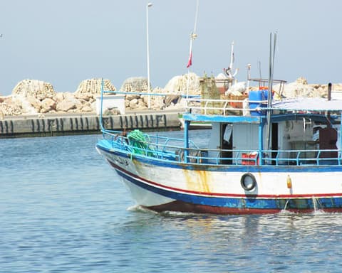 Circuit en Tunisie : entre soleil, désert et voile