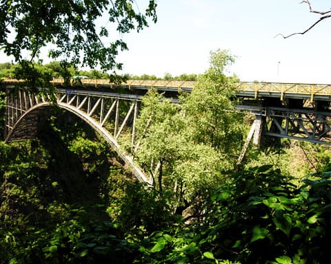 Wild Horizons: White Water Rafting - High Water  - Per Person - USD