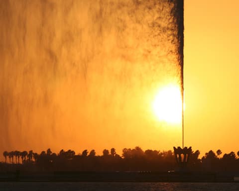 Delicias de Arabia Saudí (Del día 6-8)