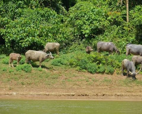 Mini Tour Città & Foreste