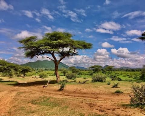 Safari Kipekee Classic