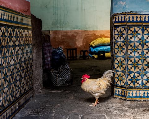 Sur la route du Maroc  Autotour