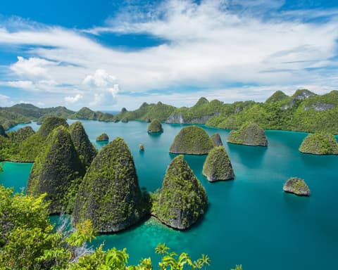 Dive Into Raja Ampat