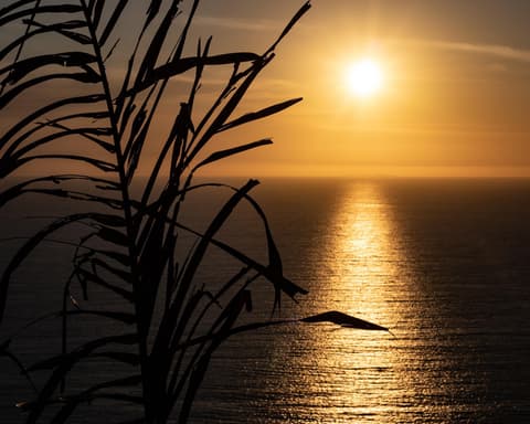 Explora Galápagos: Santa Cruz 5D 4N