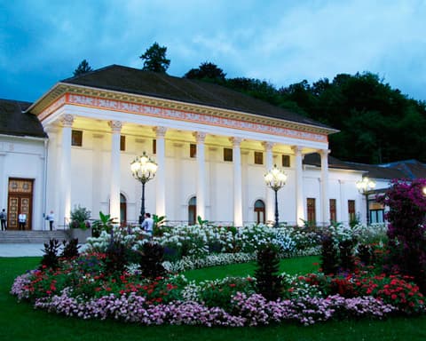 LA SELVA NEGRA Y LA ALSACIA 2026/2027