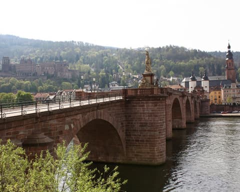 CRUCERO FLUVIAL POR EL RIN ALEMANIA - PAISES BAJOS desde Madrid (consultar otras ciudades) 