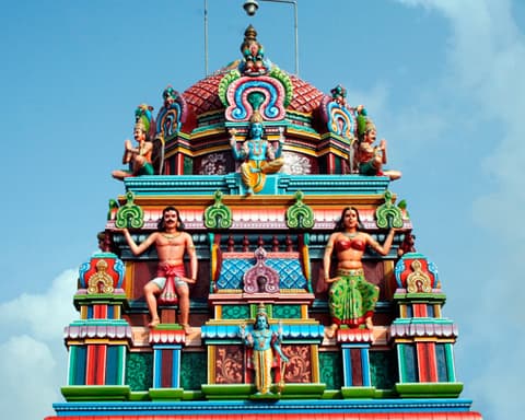 Sur de India: Kerala y Tamil Nadu