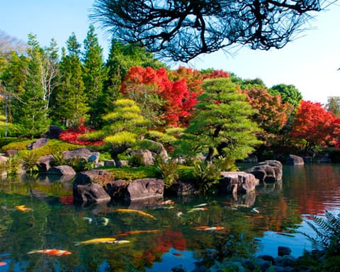 Japón, Templos y Tradiciones Milenarias