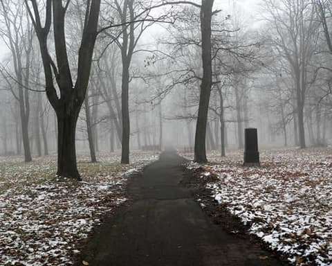Πανόραμα Χωρών Βαλτικής 7 μέρες